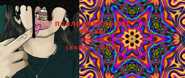 PSILOCYBIN Балахна