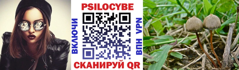 OMG как войти  Радужный  Галлюциногенные грибы Psilocybe 