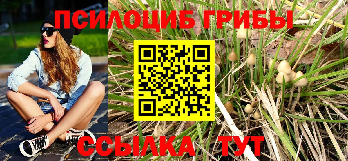 Радужный  Псилоцибиновые грибы прущие грибы  Вход с VPN 
